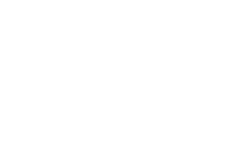 Lazy Z MHC Logo Branding